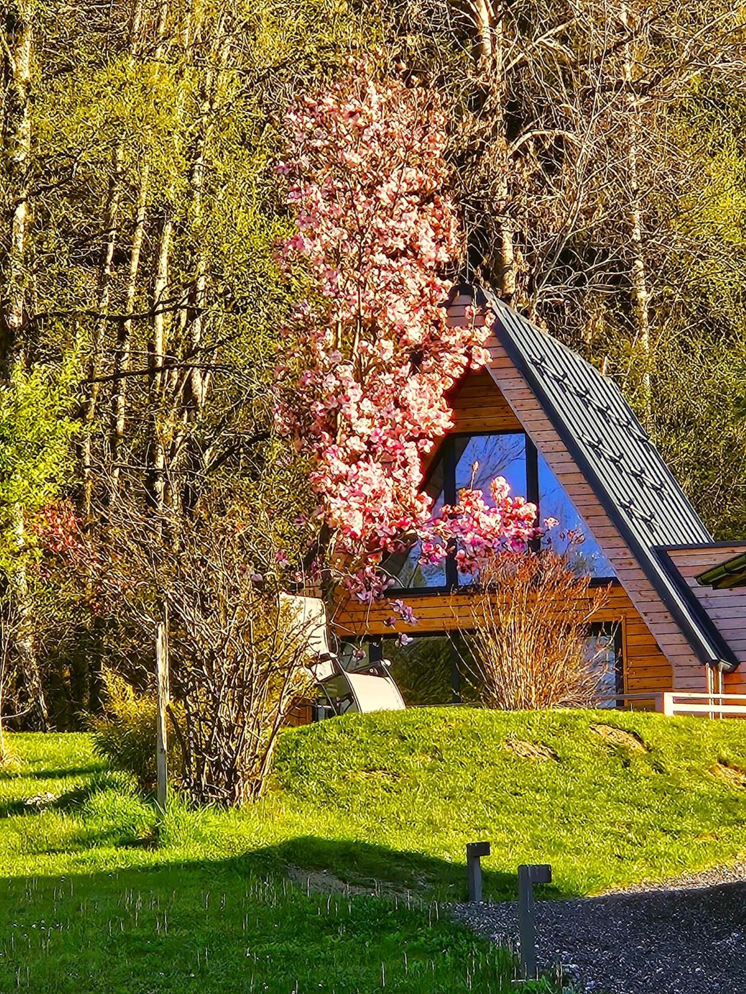 Mountains & Lakes - Chaletdorf & Appartements Филах Екстериор снимка